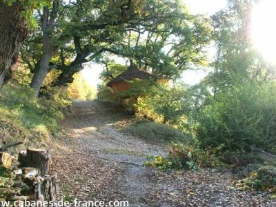 Cabane perchée en bois, entourée darbres verdoyants en Provence-Alpes-Côte dAzur.