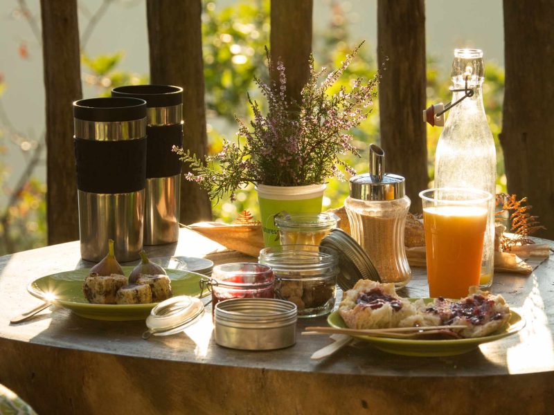 Table en bois avec petit-déjeuner et boissons, vue sur la nature environnante.
