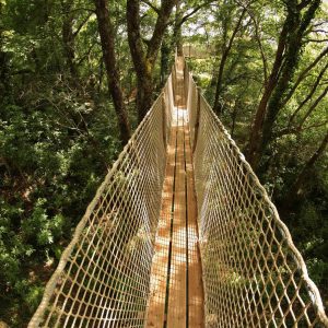 Hébergement insolite en cabane dans les arbres, accessible par un pont suspendu.
