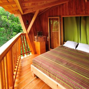 Cabane en bois avec lit douillet et vue sur la nature verdoyante.