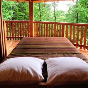 Cabane perchée en bois avec lit confortable et vue sur la forêt verdoyante.