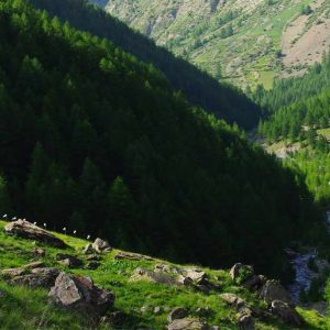 Hébergement insolite en pleine nature, avec une vue imprenable sur les vallées verdoyantes.