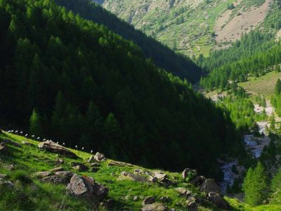 Hébergement insolite en pleine nature, avec une vue imprenable sur les vallées verdoyantes.