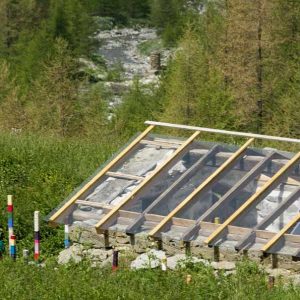 Cabane en bois avec toit vitré, entourée de verdure en Provence-Alpes-Côte dAzur.
