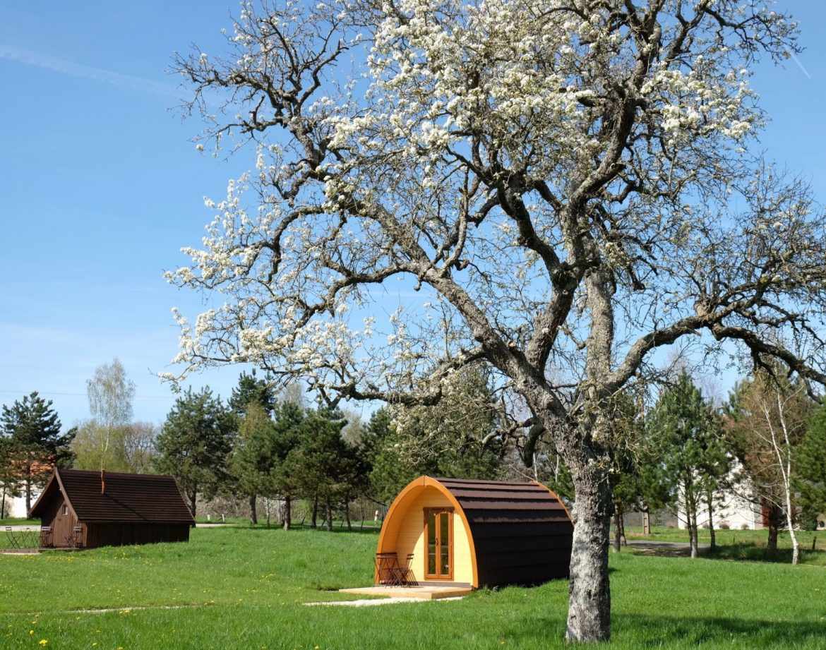 Hébergement insolite en forme de pod, entouré darbres et de verdure.