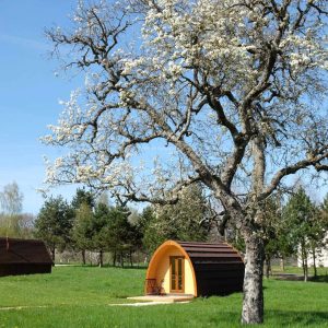 Hébergement insolite en forme de pod, entouré darbres et de verdure.
