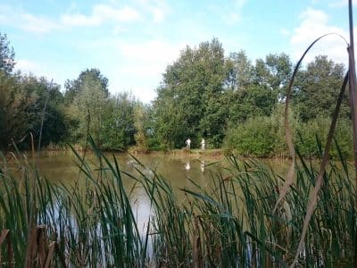 Hébergement insolite en pleine nature, au bord dun étang entouré de verdure.