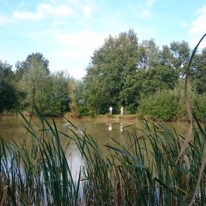 Hébergement insolite en pleine nature, près dun étang entouré de verdure.