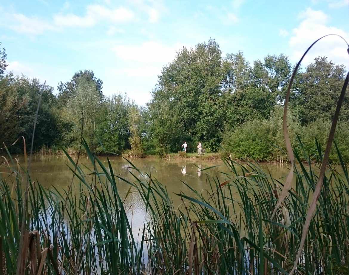 Hébergement insolite en pleine nature, avec un étang et des canards au bord.