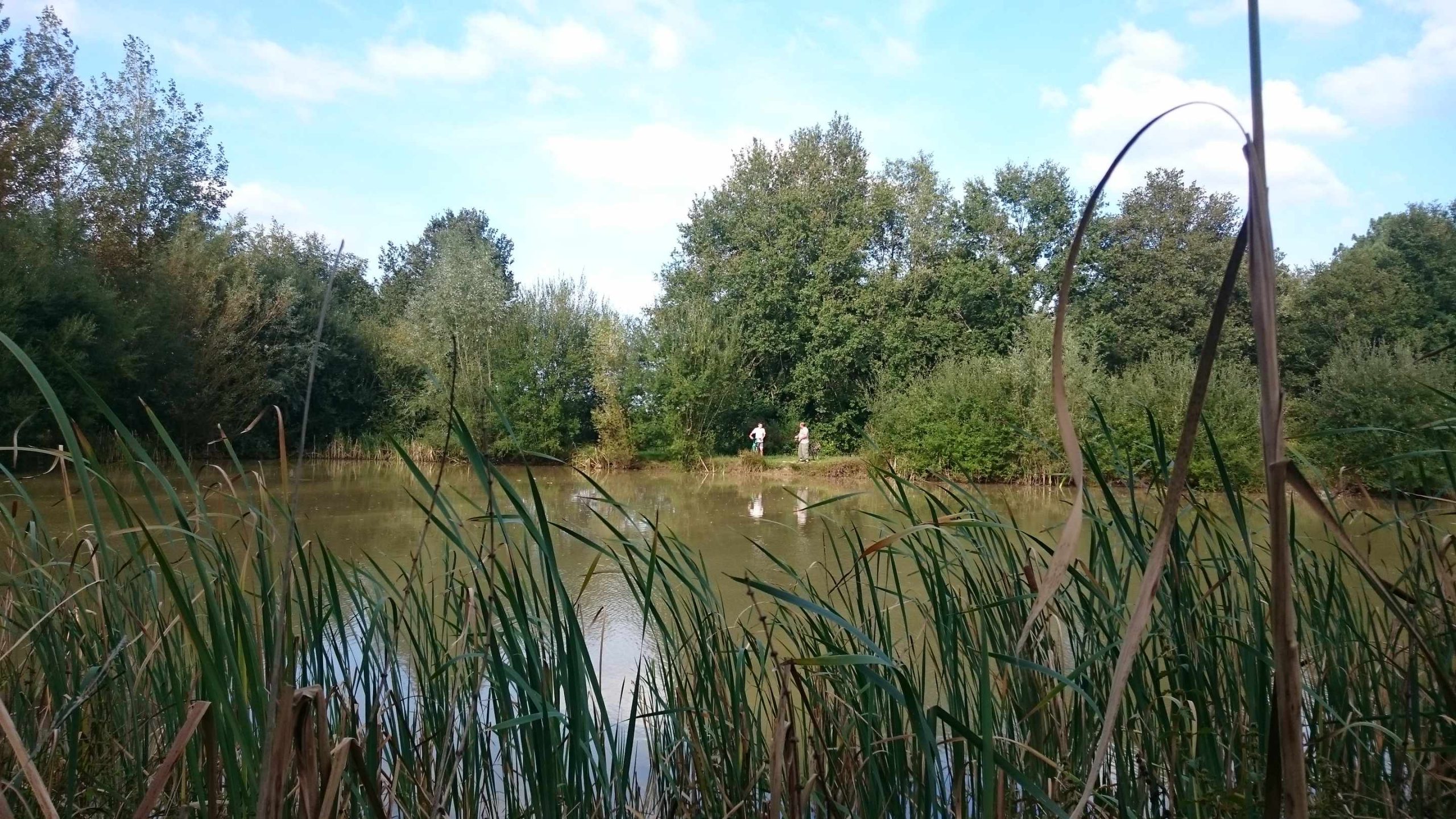 DSC_0926 Hébergement insolite en pleine nature, avec un étang et des canards au bord.