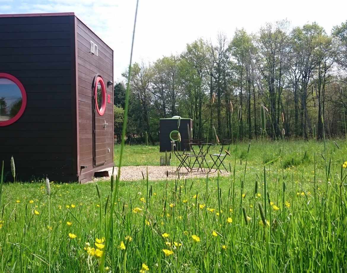 Hébergement insolite en cabane avec fenêtres rondes, entouré de verdure et fleurs.