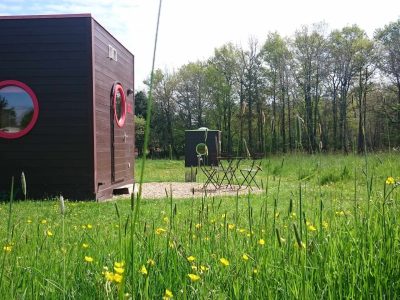 Hébergement insolite en cabane avec fenêtres rondes, entouré de verdure et fleurs.
