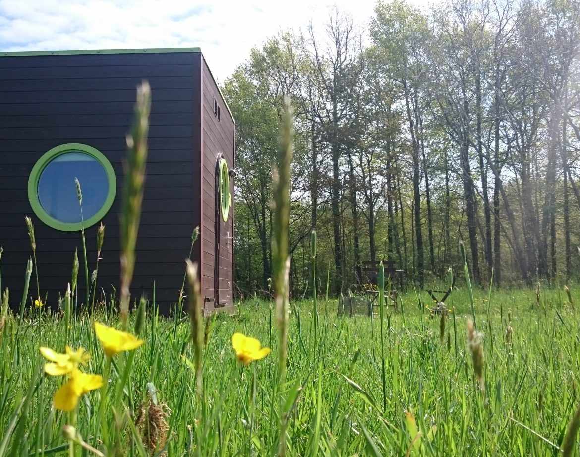 Hébergement insolite en forme de cube, entouré de fleurs jaunes et dune forêt verdoyante.