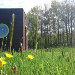 Hébergement insolite en forme de cube, entouré de fleurs jaunes et dune forêt verdoyante.