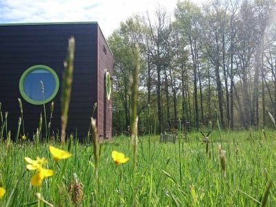 Hébergement insolite en forme de cube, entouré de fleurs jaunes et dune forêt verdoyante.