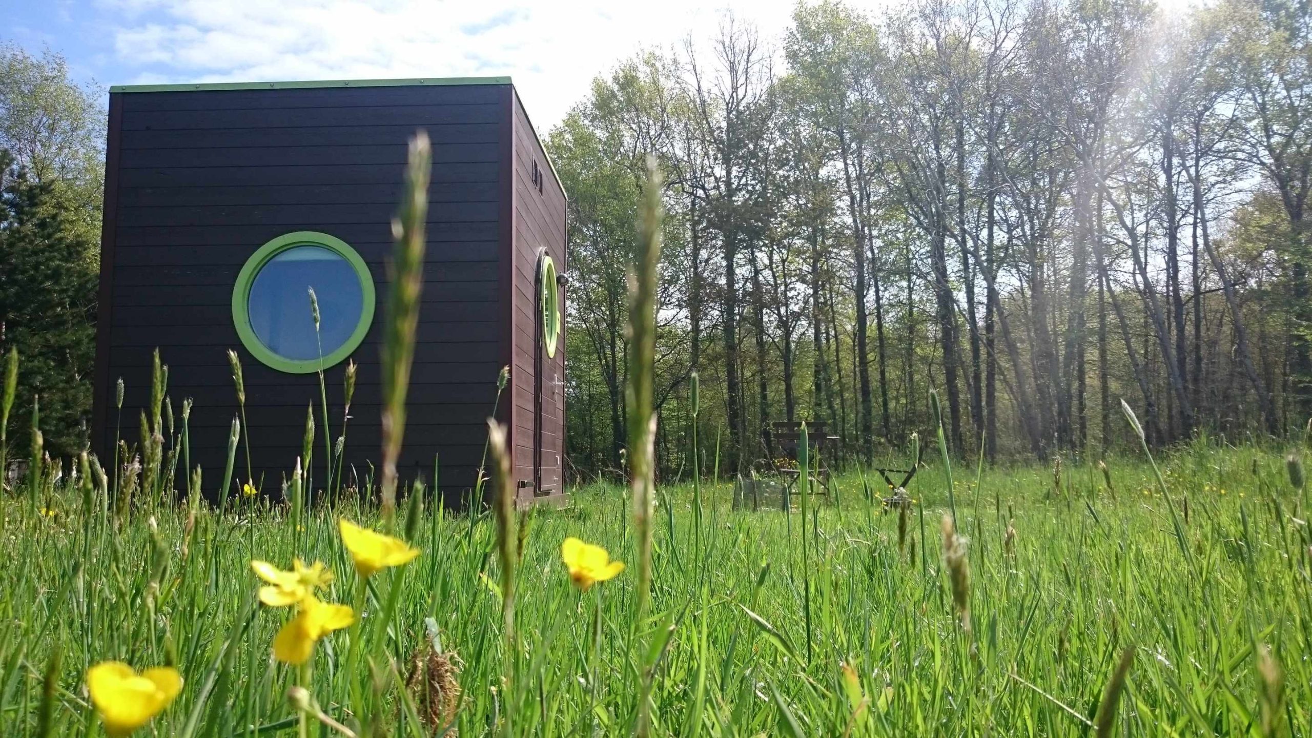 DSC_1359 Hébergement insolite en forme de cube, entouré de fleurs jaunes et dune forêt verdoyante.