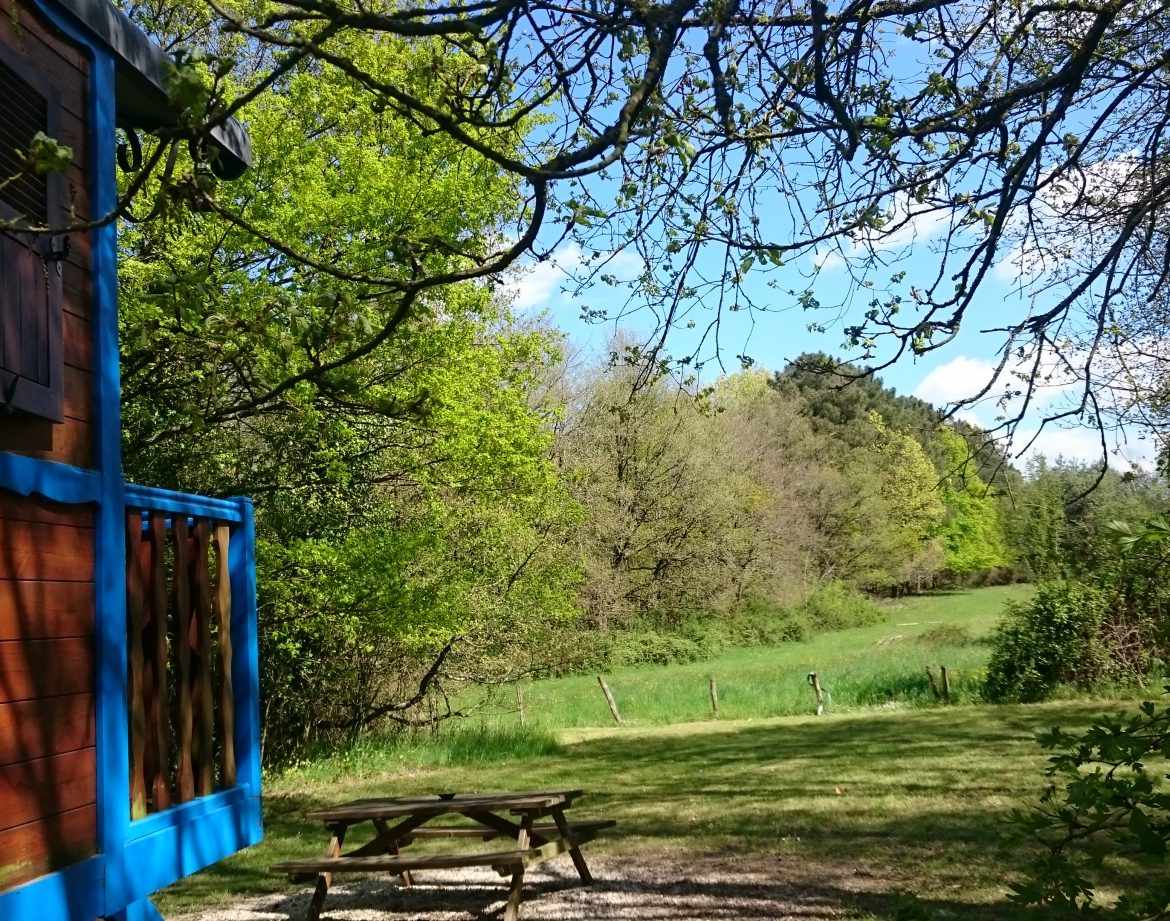 Cabane colorée en bois, entourée de verdure et dun ciel bleu éclatant.