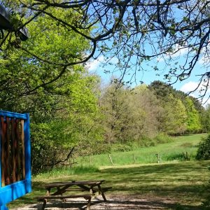 Cabane colorée en bois, entourée de verdure et dun ciel bleu éclatant.