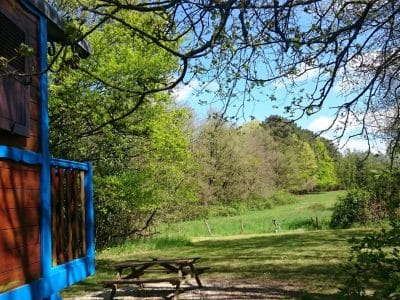 Cabane colorée en bois, entourée de verdure et dun ciel bleu éclatant.