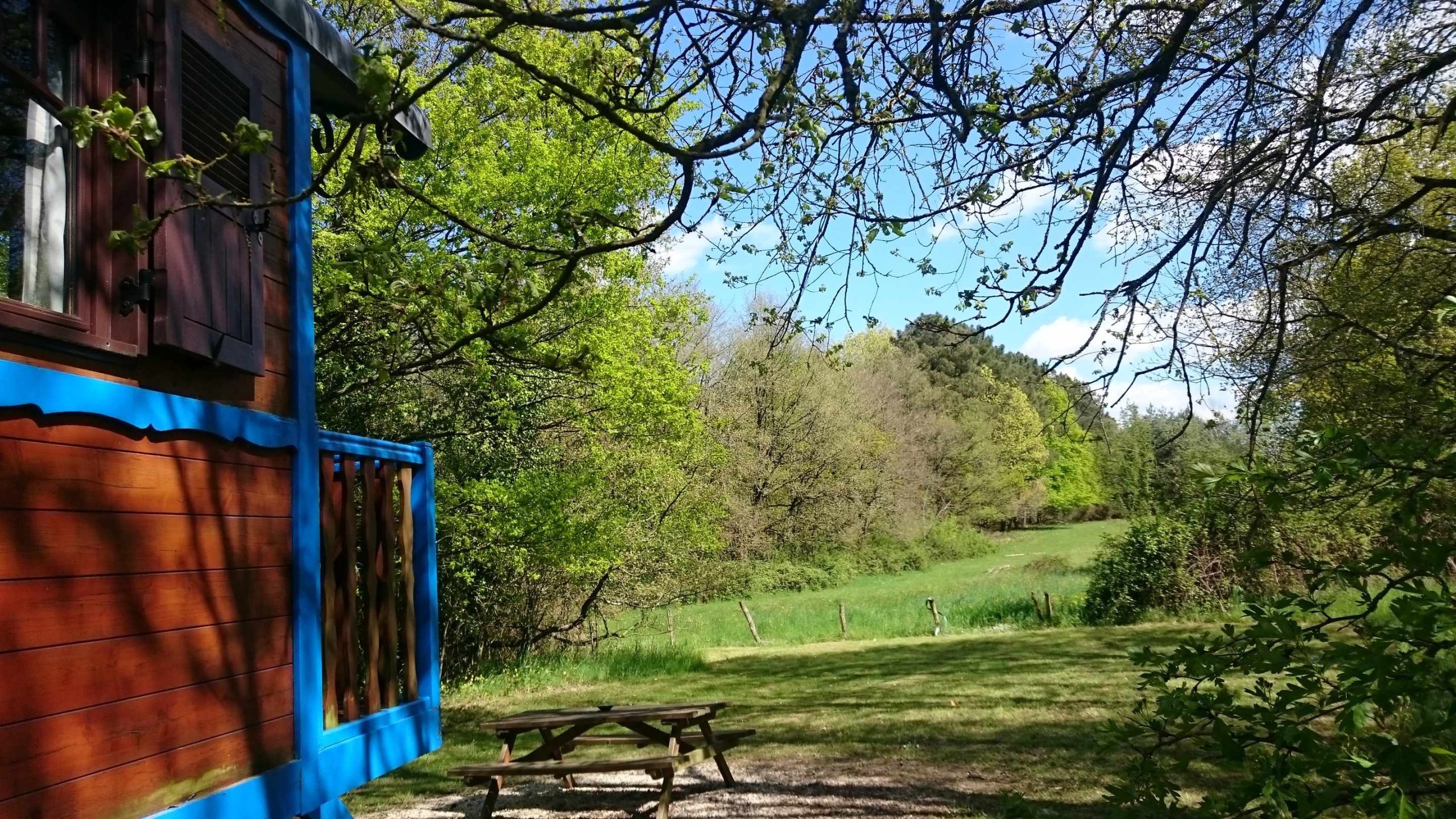 DSC_1429 Cabane colorée en bois, entourée de verdure et dun ciel bleu éclatant.