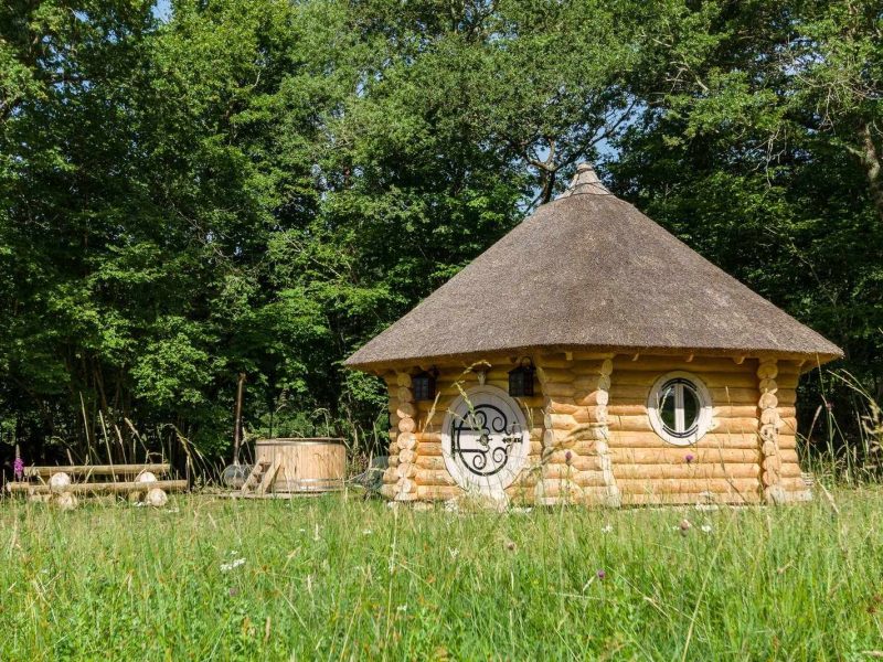 Cabane en bois avec toit de chaume, entourée de verdure et dun coin détente.