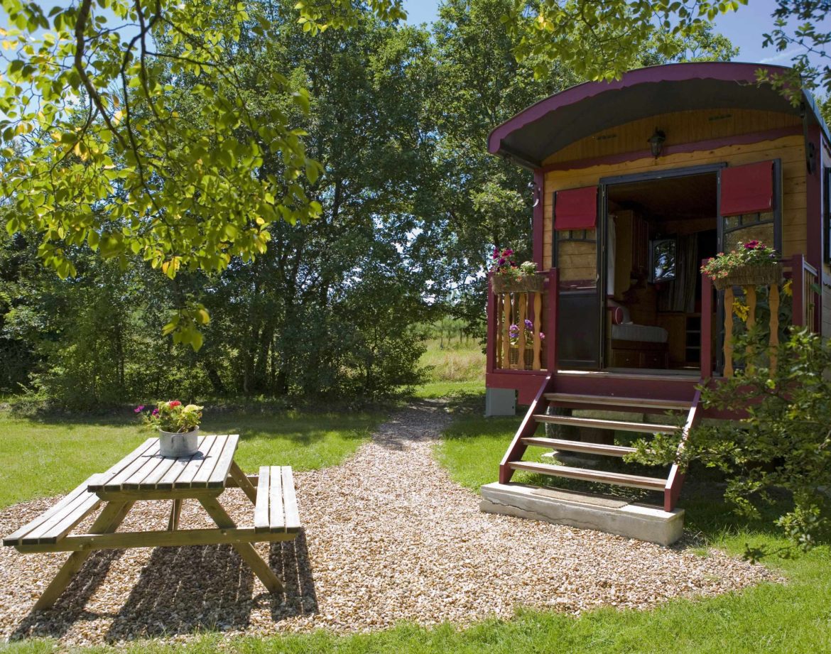 Charmante roulotte colorée avec terrasse et table en bois, entourée de verdure.