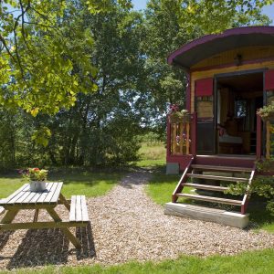 Charmante roulotte colorée avec terrasse et table en bois, entourée de verdure.