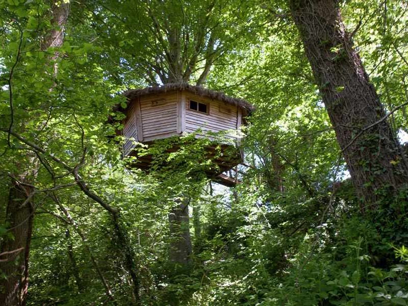 Cabane perchée dans les arbres, entourée dune verdure luxuriante.