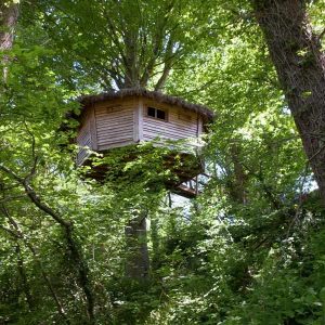 Cabane perchée dans les arbres, entourée de verdure luxuriante en Basse-Normandie.