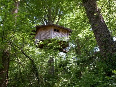 Cabane perchée dans les arbres, entourée de verdure luxuriante en Basse-Normandie.