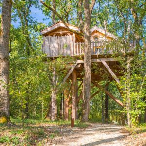 Cabane perchée dans les arbres, entourée de verdure luxuriante en Aquitaine.