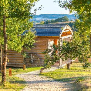 Cabane en bois au cœur de la nature, entourée darbres verdoyants.