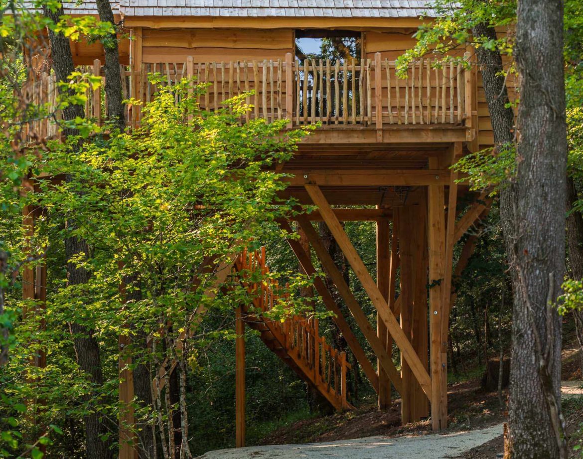 Cabane perchée en bois dans les arbres, entourée de verdure luxuriante.