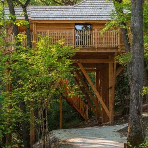 Cabane perchée en bois dans les arbres, entourée de verdure luxuriante.