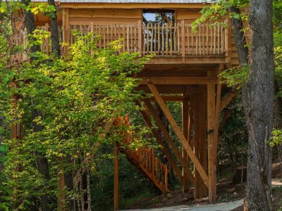 Cabane perchée en bois dans les arbres, entourée de verdure luxuriante.