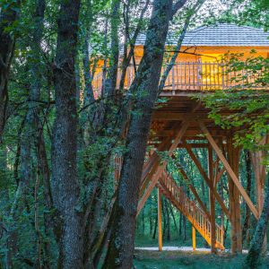 Cabane perchée dans les arbres, illuminée, entourée de verdure en Aquitaine.
