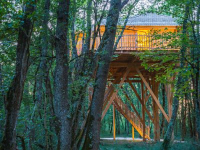 Cabane perchée dans les arbres, illuminée, entourée de verdure en Aquitaine.