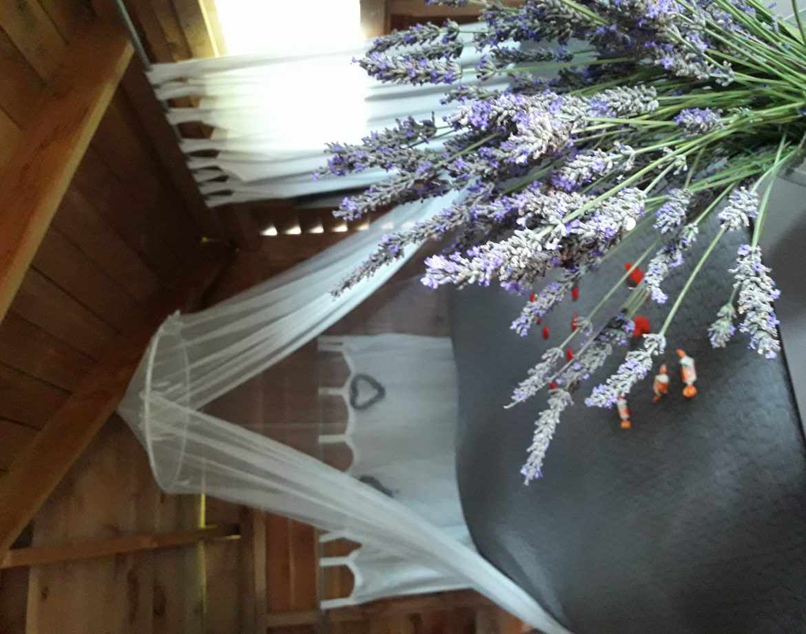 Cabane en bois cosy avec lit à baldaquin et bouquet de lavande.