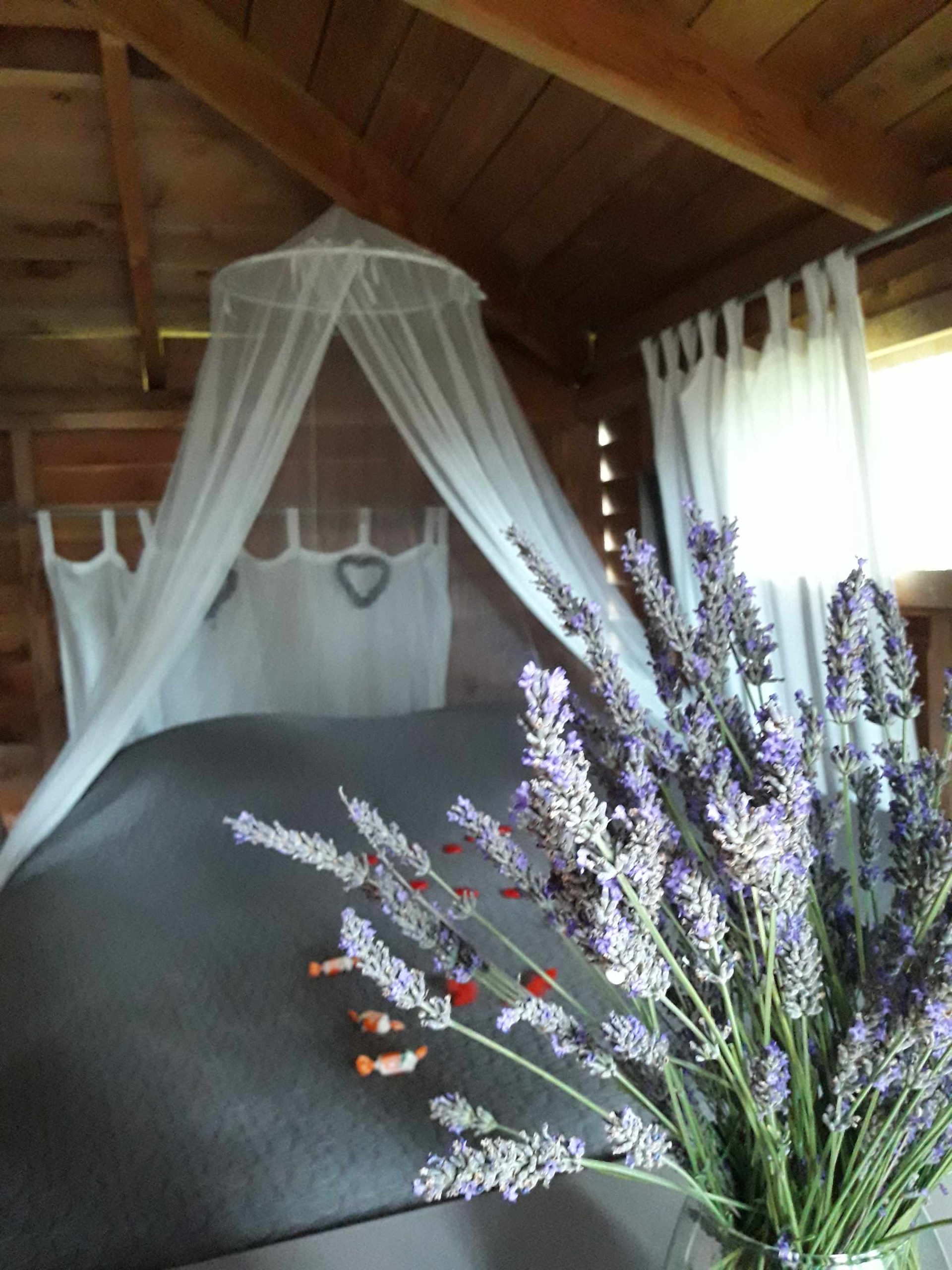 20170710_155328 Cabane en bois cosy avec lit à baldaquin et bouquet de lavande.