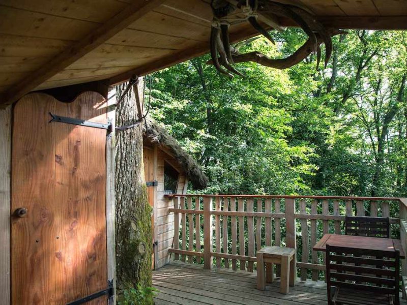 Cabane en bois avec terrasse en bois, entourée darbres verdoyants.