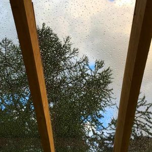 Cabane en bois avec toit en verre, vue sur les arbres sous la pluie.