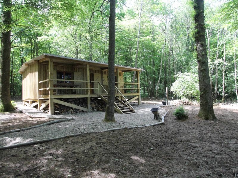 Cabane en bois au cœur de la forêt, entourée darbres verdoyants.