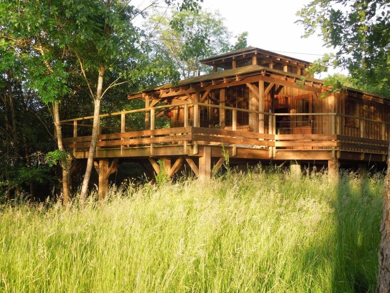 Cabane en bois sur pilotis, entourée de verdure luxuriante et de lumière naturelle.