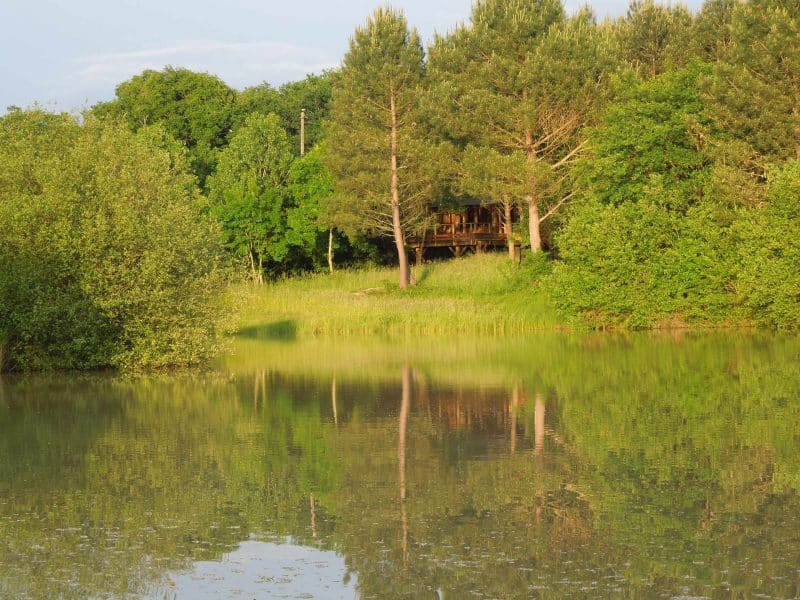 Cabane en bois au bord dun lac, entourée de verdure luxuriante.