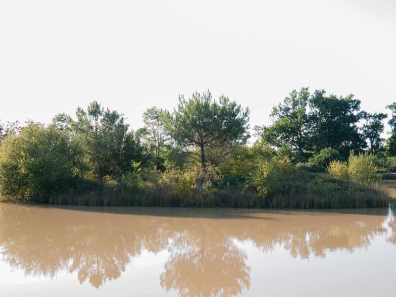 Hébergement en bord de lac, entouré de verdure et de reflets paisibles dans leau.