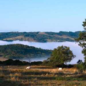 Hébergement insolite en Auvergne-Rhône-Alpes, avec vue sur des collines brumeuses.