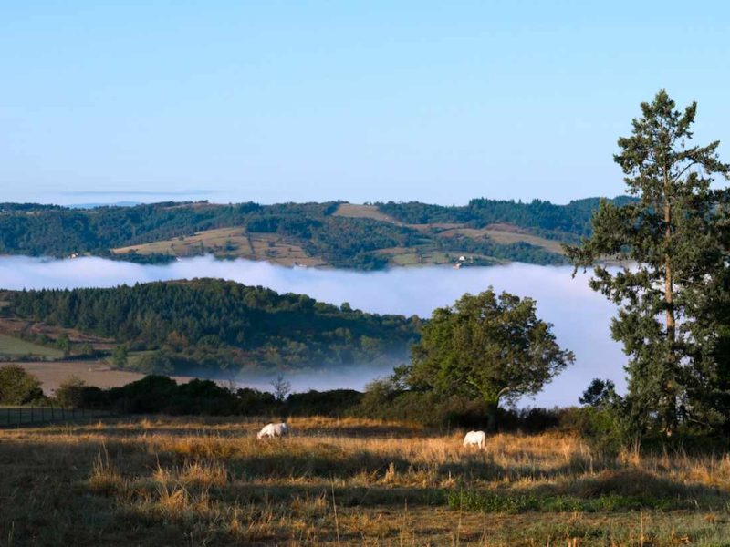 Hébergement insolite en Auvergne-Rhône-Alpes, avec vue sur des collines brumeuses.