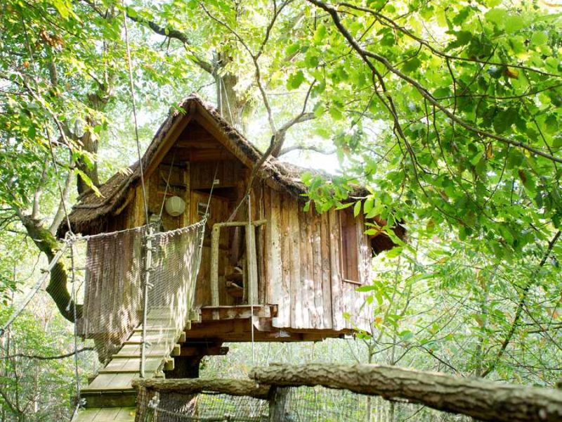 Cabane dans les arbres, perchée au milieu dune verdure luxuriante.