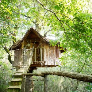 Cabane perchée dans les arbres, entourée de verdure luxuriante en Nouvelle-Aquitaine.