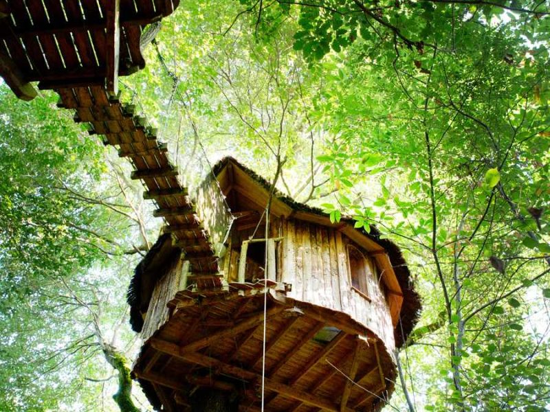 Cabane dans les arbres, perchée au milieu dune verdure luxuriante.